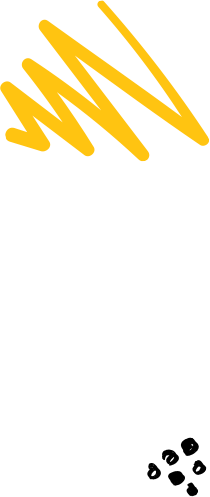 xx